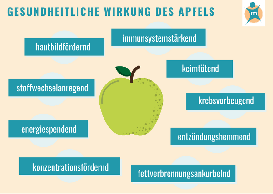 Apfel und seine Wirkung