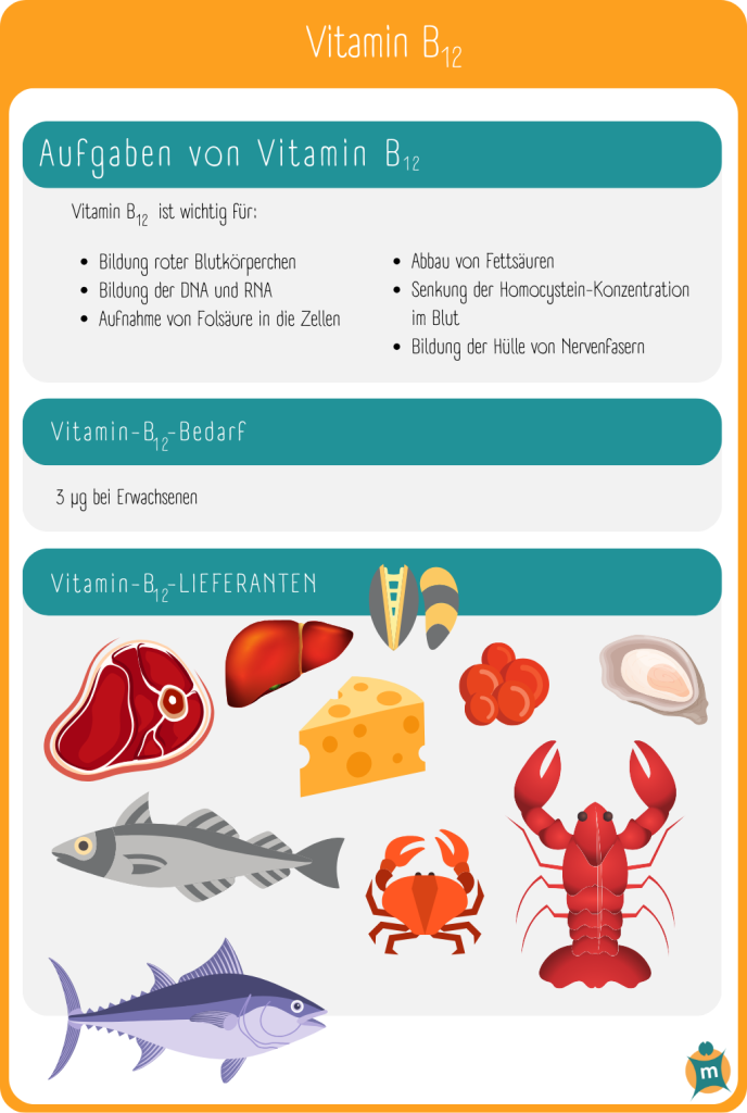 Infografik zu Vitamin B12: Aufgaben, Tagesbedarf, Lieferanten