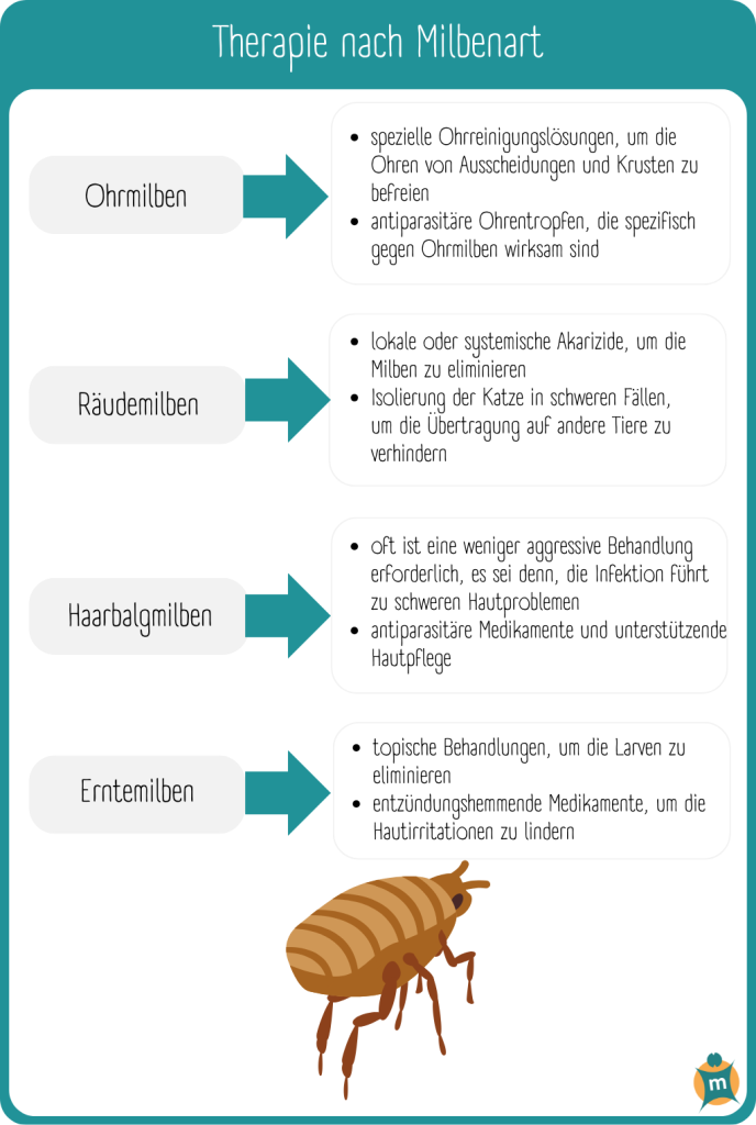 Infografik mit Behandlung von Milben bei Katzen nach Milbenart