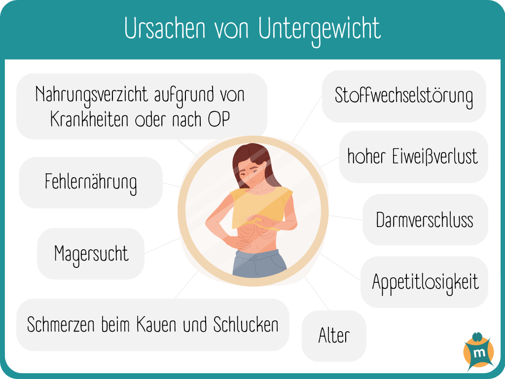 Infografik zu Ursachen von Untergewicht