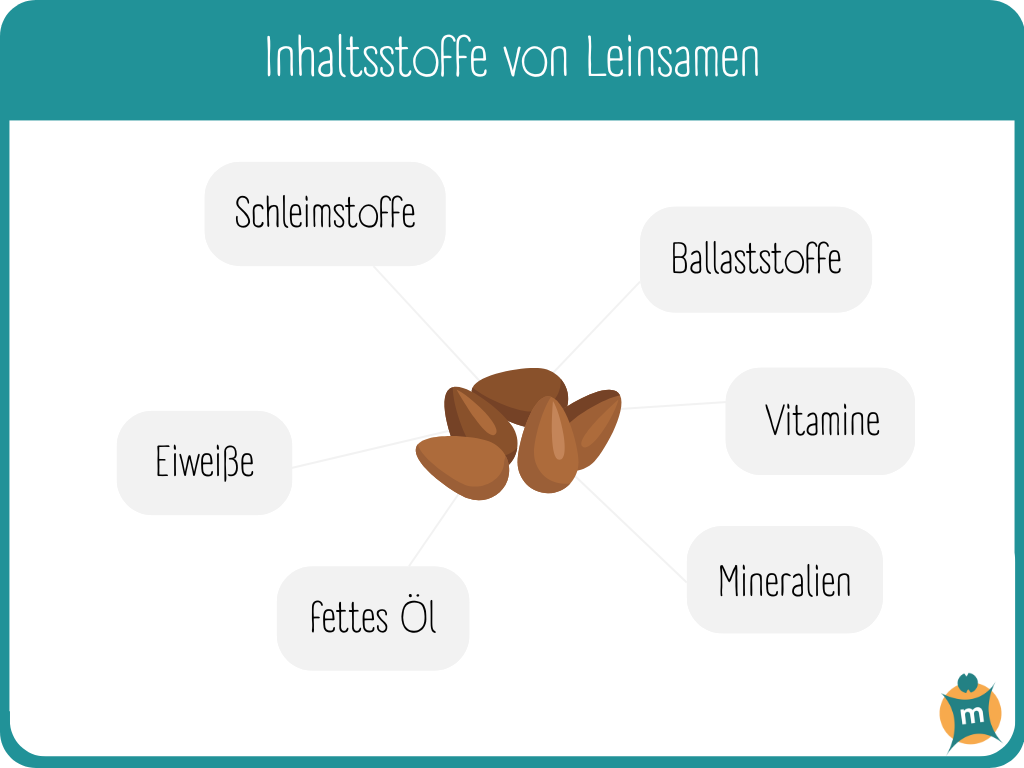 Infografik über Inhaltsstoffe von Leinsamen