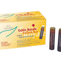 GELEE ROYAL Aufbaukur M800 Trinkampullen - 14X20g