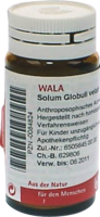 SOLUM Globuli velati - 20g