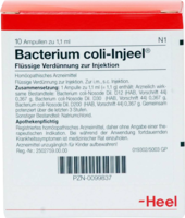 BACTERIUM COLI Injeel Ampullen - 10Stk