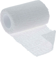 ZINKLEIMBINDE Dracozink 10 cmx10 m - 1Stk