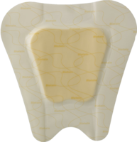 BIATAIN Schaumverband Sakrum 23x23 cm selbst haft. - 5Stk
