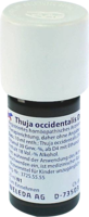 THUJA OCCIDENTALIS D 6 Dilution - 20ml