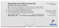 EQUISETUM CUM Sulfure tostum D 6 Ampullen - 8X1ml