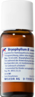 BRYOPHYLLUM Urtinktur - 50ml