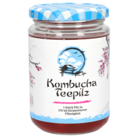 KOMBUCHA TEEPILZ - 1Stk
