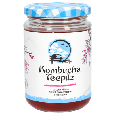 KOMBUCHA TEEPILZ - 1Stk