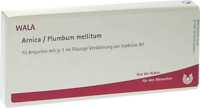ARNICA/PLUMBUM /Mellitum Ampullen - 10X1ml