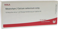 MESENCHYM/CALCIUM carbonicum comp.Ampullen - 10X1ml