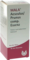 AESCULUS/PRUNUS comp.Essenz - 100ml