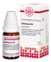 ECHINACEA HAB D 4 Globuli - 10g - D - E