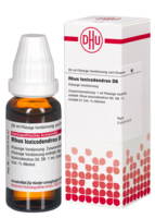 RHUS TOXICODENDRON D 6 Dilution - 20ml