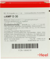 CAMP D 30 Ampullen - 10Stk