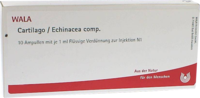CARTILAGO/Echinacea comp.Ampullen - 10X1ml