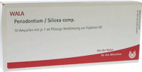 PERIODONTIUM/SILICEA comp.Ampullen - 10X1ml