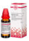 HYPERICUM EXTERN Extrakt - 20ml