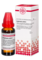 EUPHRASIA EXTERN Tinktur - 20ml