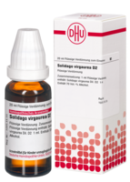 SOLIDAGO VIRGAUREA D 2 Dilution - 20ml