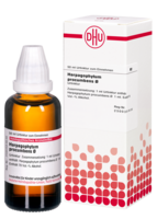 HARPAGOPHYTUM PROCUMBENS Urtinktur D 1 - 50ml