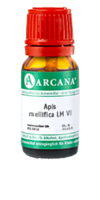 APIS MELLIFICA LM 6 Dilution - 10ml