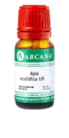 APIS MELLIFICA LM 18 Dilution - 10ml