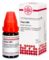 THUJA LM VI Dilution - 10ml