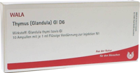 THYMUS GLANDULA GL D 6 Ampullen - 10X1ml