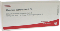 GLANDULAE SUPRARENALES GL D 6 Ampullen - 10X1ml