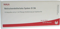 RETICULOENDOTHELIALES System GL D 6 Ampullen - 10X1ml