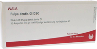 PULPA DENTIS GL D 30 Ampullen - 10X1ml