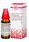 CHELIDONIUM EXTERN - 20ml