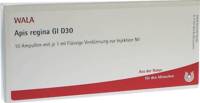 APIS REGINA GL D 30 Ampullen - 10X1ml