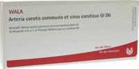ARTERIA CAROTIS COMMUNIS et sin.carot.GL D 6 Amp. - 10X1ml