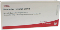 DURA MATER encephali GL D 12 Ampullen - 10X1ml