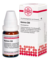 KALMIA C 30 Globuli - 10g