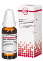 RHUS TOXICODENDRON C 30 Dilution - 20ml
