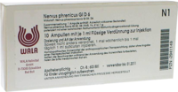 NERVUS PHRENICUS GL D 6 Ampullen - 10X1ml
