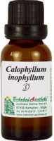 CALOPHYLLUM inophyllum Öl - 20ml