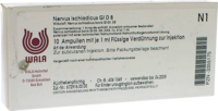 NERVUS ISCHIADICUS GL D 8 Ampullen - 10X1ml