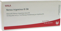 NERVUS TRIGEMINUS GL D 8 Ampullen - 10X1ml