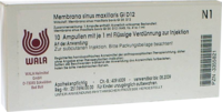 MEMBRANA sinus maxillaris GL D 12 Ampullen - 10X1ml