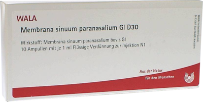 MEMBRANA sinuum paransalium GL D 30 Ampullen - 10X1ml