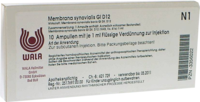 MEMBRANA synovialis GL D 12 Ampullen - 10X1ml