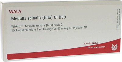 MEDULLA SPINALIS tota GL D 30 Ampullen - 10X1ml