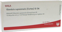 GLANDULA SUPRARENALES cortex GL D 6 Ampullen - 10X1ml