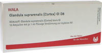 GLANDULA SUPRARENALIS cortex GL D 8 Ampullen - 10X1ml